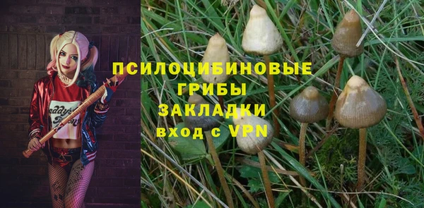 круглые Няндома
