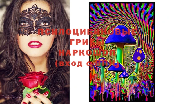 круглые Няндома