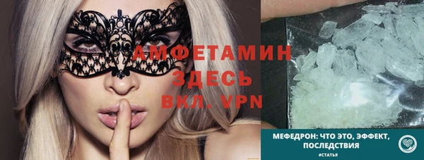 мдпв Гусь-Хрустальный