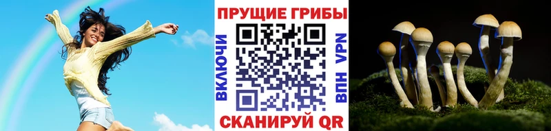 Галлюциногенные грибы Magic Shrooms Аркадак