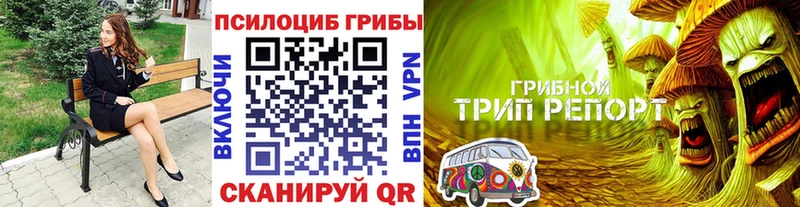 ссылка на мегу онион Аркадак Галлюциногенные грибы Magic Shrooms